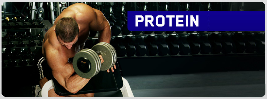 Protein supplements - مكملات البروتين