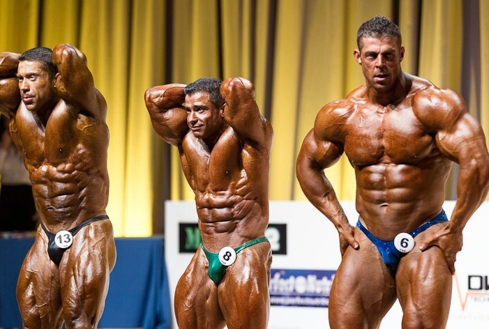 IFBB Mr. Europe Pro Results 2012